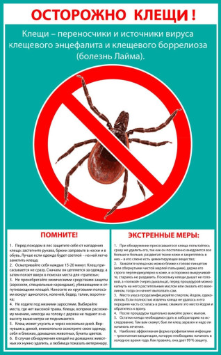 Осторожно, клещи! Осторожно, клещи!.